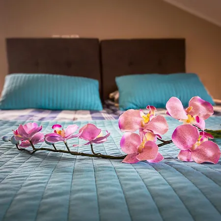 Kojak 3* Jastrzębia Góra