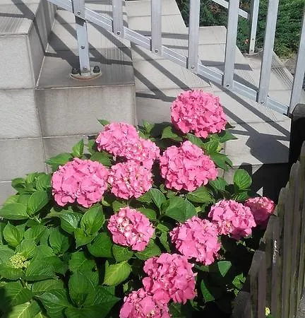 Kojak Nocleg ze śniadaniem 3*