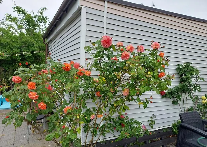 Kojak 住宿加早餐酒店
