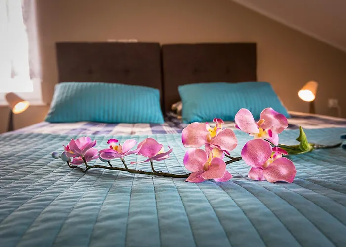 Kojak 3* Jastrzębia Góra