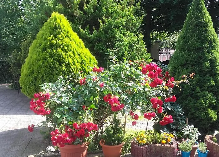 Kojak 3* Jastrzębia Góra